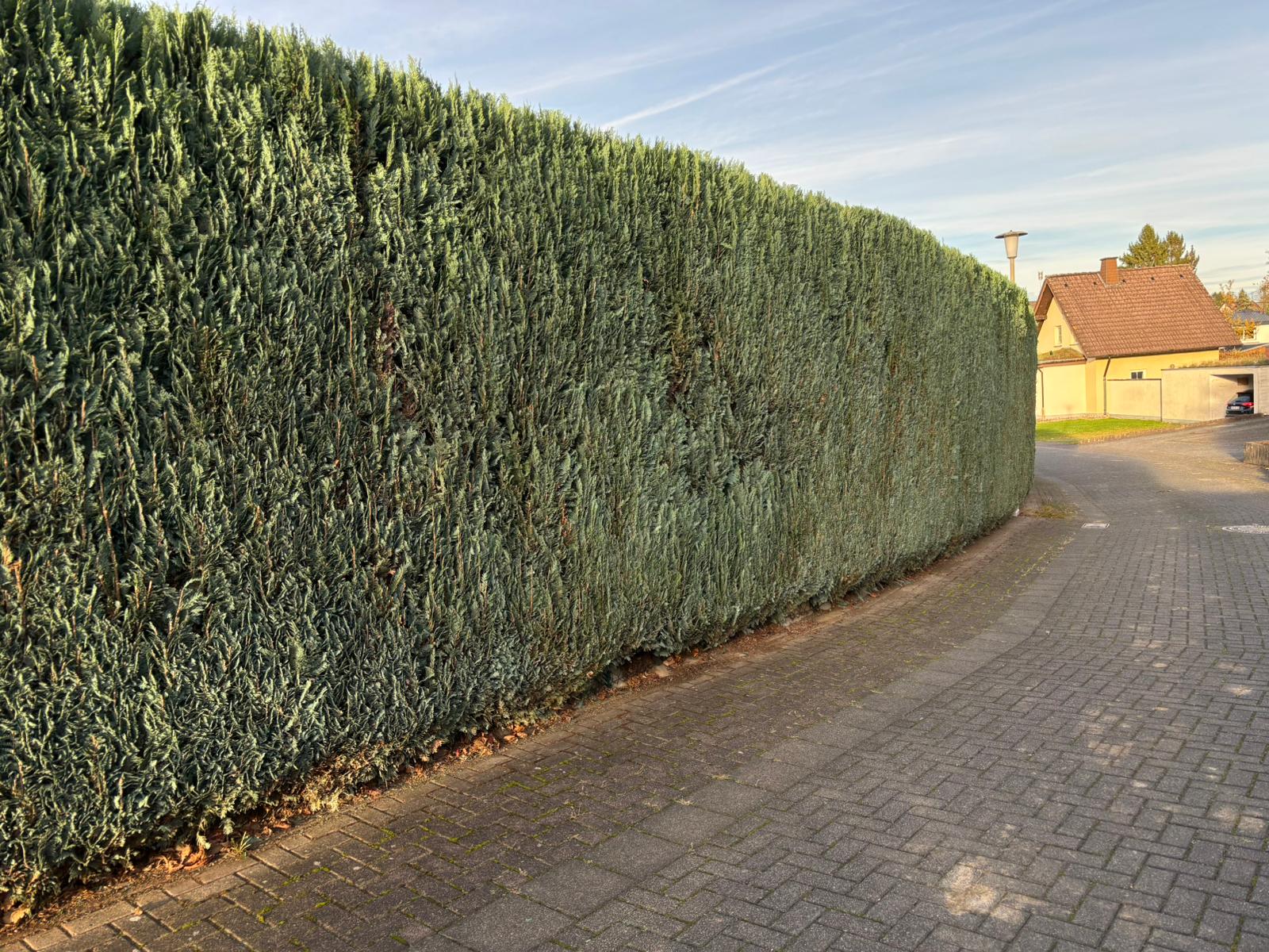 Gartenpflege – Freilingen, Westerwald